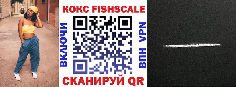 где купить Звенигород COCAIN Fish Scale