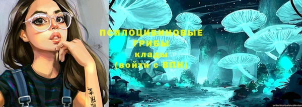 СК Абаза