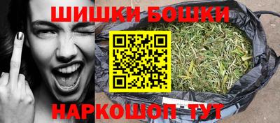 гидропоника Камышлов