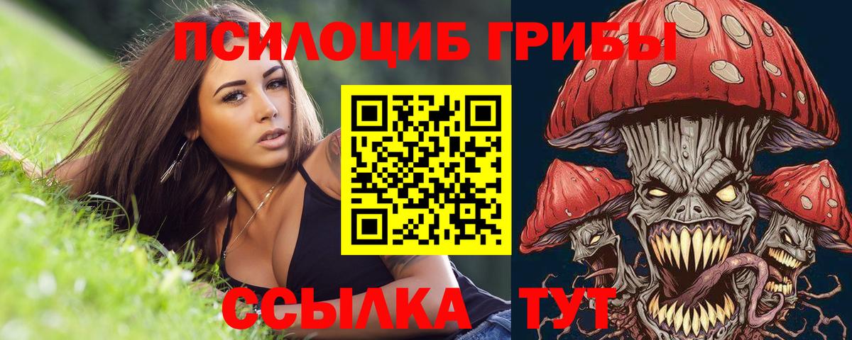 Псилоцибиновые грибы мухоморы Звенигород