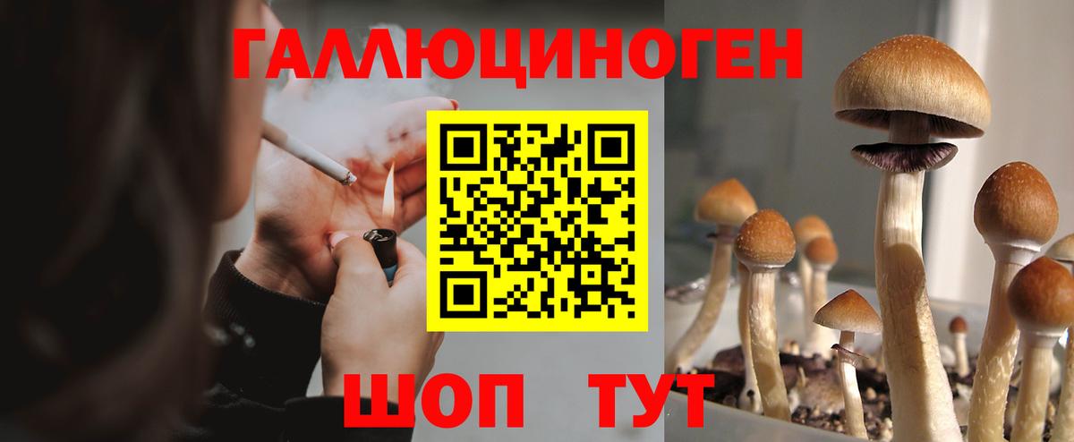 Галлюциногенные грибы MAGIC MUSHROOMS  Вход с VPN  Звенигород 